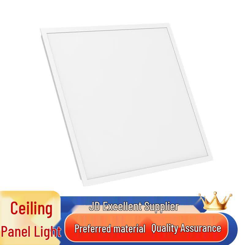 Saizesi LED Surface Mounted Panel Light