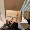 Popular bags women's new spring and summer simple versatile chain bag high-end shoulder messenger bag