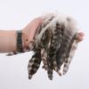 50Pcsdiy Jewelry Accessories Feather Diy Feather Headdress Corsage Hat Shoes Handicrafts Decorative Materials