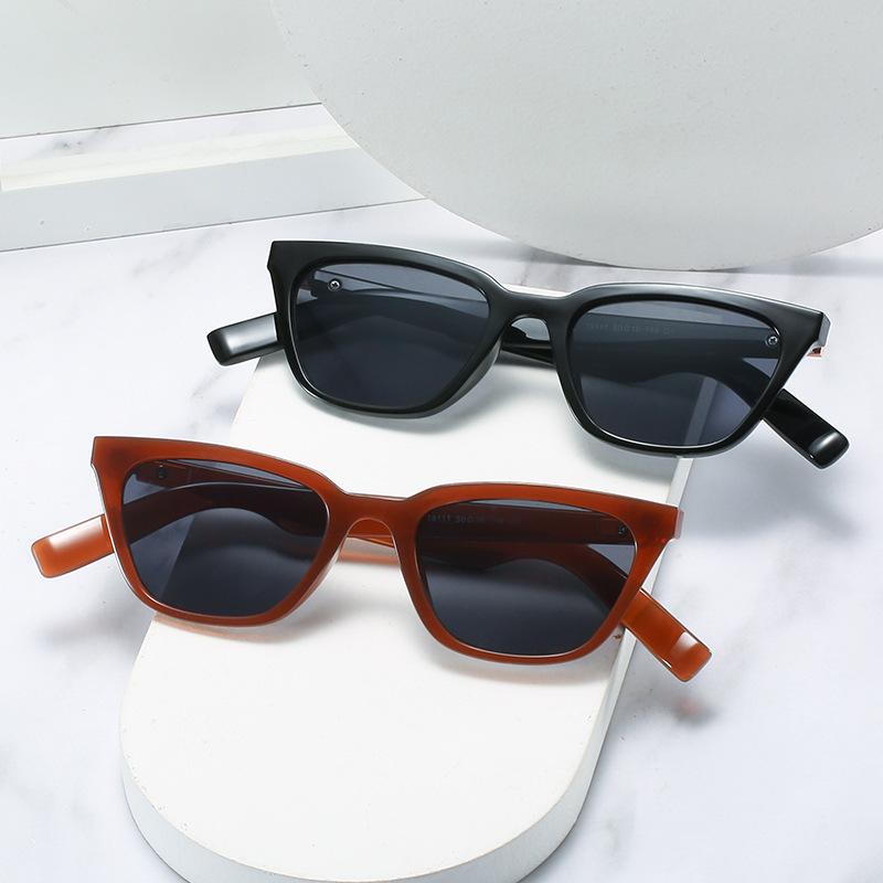 Simple Small Frame Cat Eye Sunglasses Trendy Man, Retro Women With Sunglasses