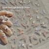 "Fantasy Aurora Butterfly Nail Art Stickers: Gentle Fairy Shell Collection"