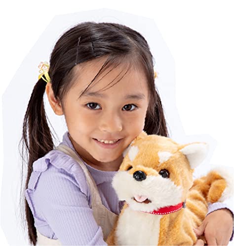 Iwaya (IWAYA) Come! Come! Come! Roommate Dog, Shiba Inu, ST Mark Certified, Battery-Operated Plush Toy for Ages 3 and Up
