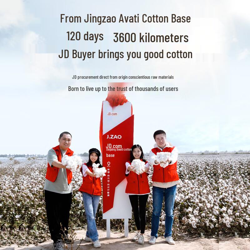 Jingdong Ajindo 100% Xinjiang Cotton Quilt