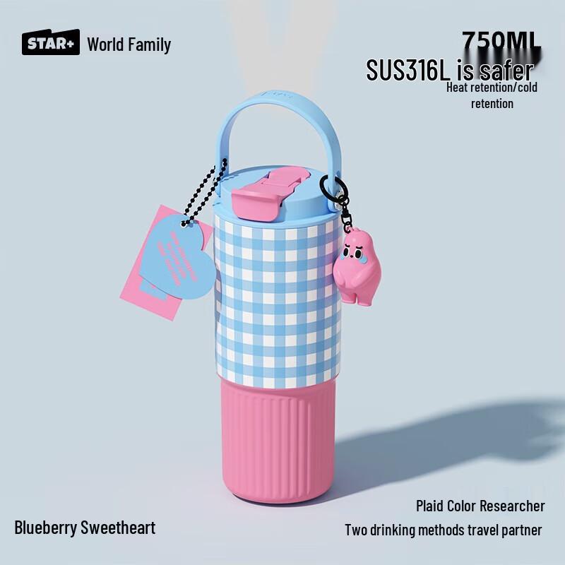 Shidajia Insulated Tumbler with Straw