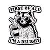 Funny Raccoon Quotes Enamel Pins Cartoon Animals Brooches Lapel Pin Badge on Backpack Clothing Accessories Fashion Jewelry Gifts