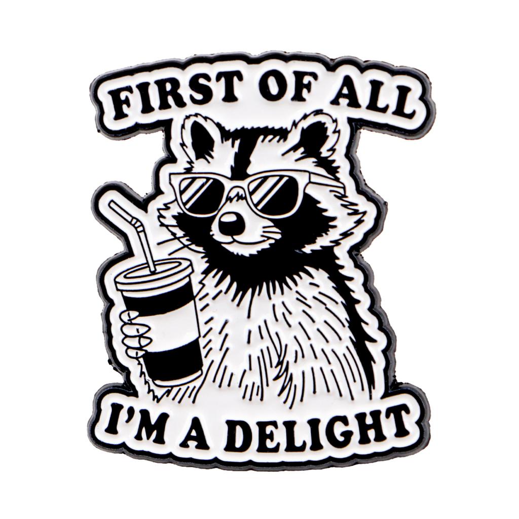 Funny Raccoon Quotes Enamel Pins Cartoon Animals Brooches Lapel Pin Badge On Backpack Clothing Accessories Fashion Jewelry Gifts