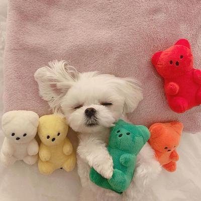 Niedliches Quietschspielzeug für kleine Hunde, Welpen, bärenförmiges Quietschspielzeug für Katzen, Hunde, Heimtierbedarf, Zwergspitz, Teddy, Shih Tzu, Mops