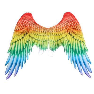Halloween 3D Angel Devil Big Wings Mardi Gras Theme Party Cosplay Accessories Of Kid Adult Children Large Black Wings Costume