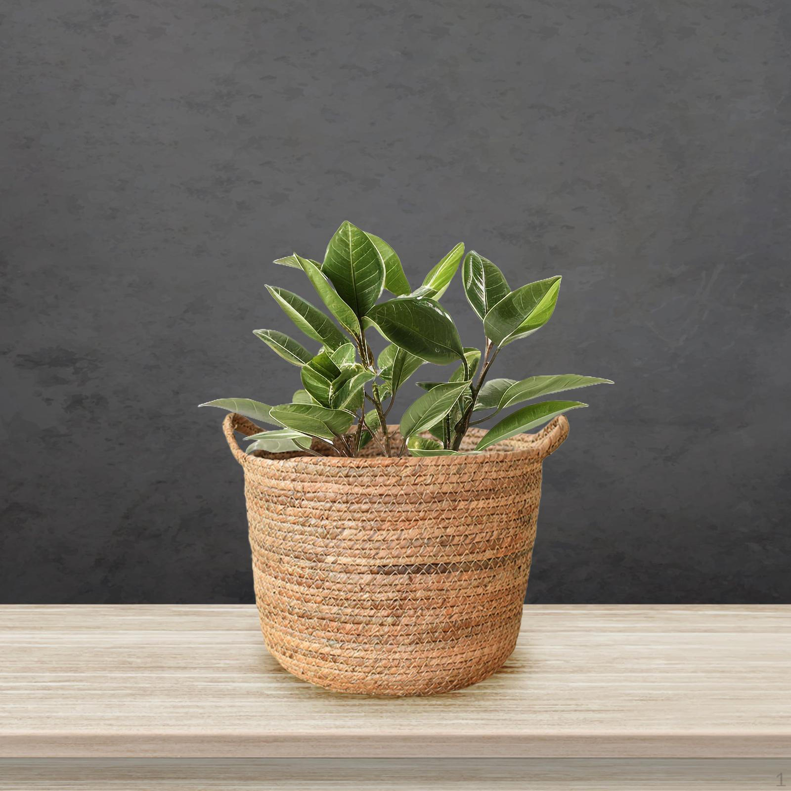 

Плетеные корзины для растений, цветочные горшки, декоративные, большой емкости, держатели для хранения S