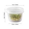 Refrigerator Freshness Box Portable Round Transparent Draining Double Layer Freshness Box Home Ginger Garlic Onion Storage Box