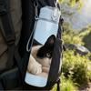 1PC Black White Cat Lying Down 750ml Color Plastic Sports Water Bottle Leakproof Flip Straw Lid Suitable for Sports Office Home Use