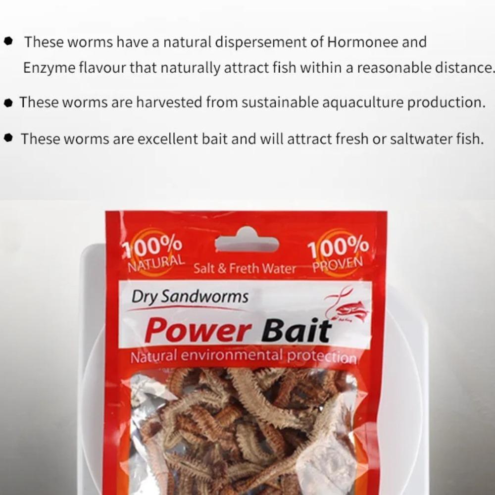 10g Weiche Künstliche Sandwurm Angelköder Lebensecht Trockene Würmer Tragbar Salzwasser Süßwasser Meeresfischen Futterspender Angler Zubehör