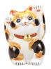 Kutani Ware Iwataya 4 Maneki Neko Calico with Raised No. (Long-Haired Cat) Arms, K9-1534