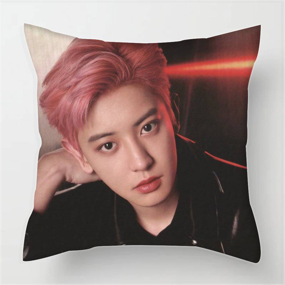 Pillowcases cushion covers living room sofas home decor gifts Singer P-arks Chanyeol  Korea 12x12Inch
