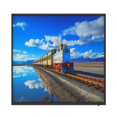 Computer Screen - PC Monitor Dahua 1.0.99.12.10346-9001 Full HD