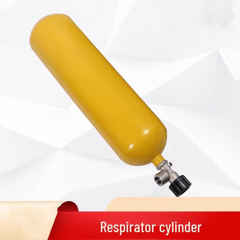 

RHZK Positive Pressure Air Respirator with Full Face Mask