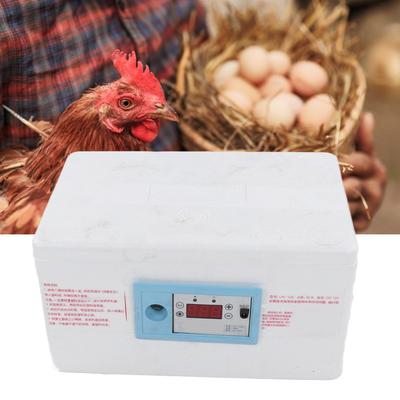 1 Set (7pcs) Small Chicken Incubator Foam Eggs Hatching Incubator  Hatching Chicken