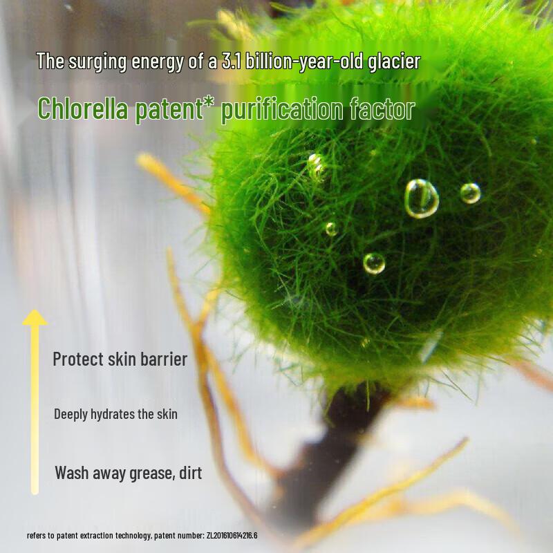 Frog Prince Colorful Fruit Kids Wash