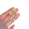 Silver Needle Cubic Zirconia Tassel Pearl Earrings - Elegant Design, High-End and Versatile Fashion Studs