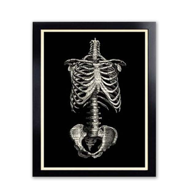 Vintage Sada Anatomických Plakátů s Potiskem Lebky Anatomie Plátna Obrazy Nástěnné Umění Potisk Lebky Dárek do Obývacího Pokoje Domov Bez Rámu