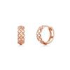 Etuan One-Touch Earrings (PG)_232100298