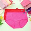 Women's High Rise Briefs Solid Color 95% Cotton Plus Size Breathable Soft Knit Ladies Underwear Panties