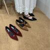 Inner Height Increase Pointed Retro French Mary Jane Single Shoes Women 2025 New Spring Gentle Fairy Fashion Versatile Single Shoes