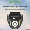 Waterproof Solar Motion Sensor Wall Light for Garden & Courtyard
