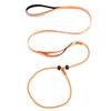 Dog Leash Traction Rope for Small to Medium Breeds