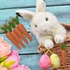 Holiday Decorations Home Decors Easter Decor Plant Shape Carrots Pendants