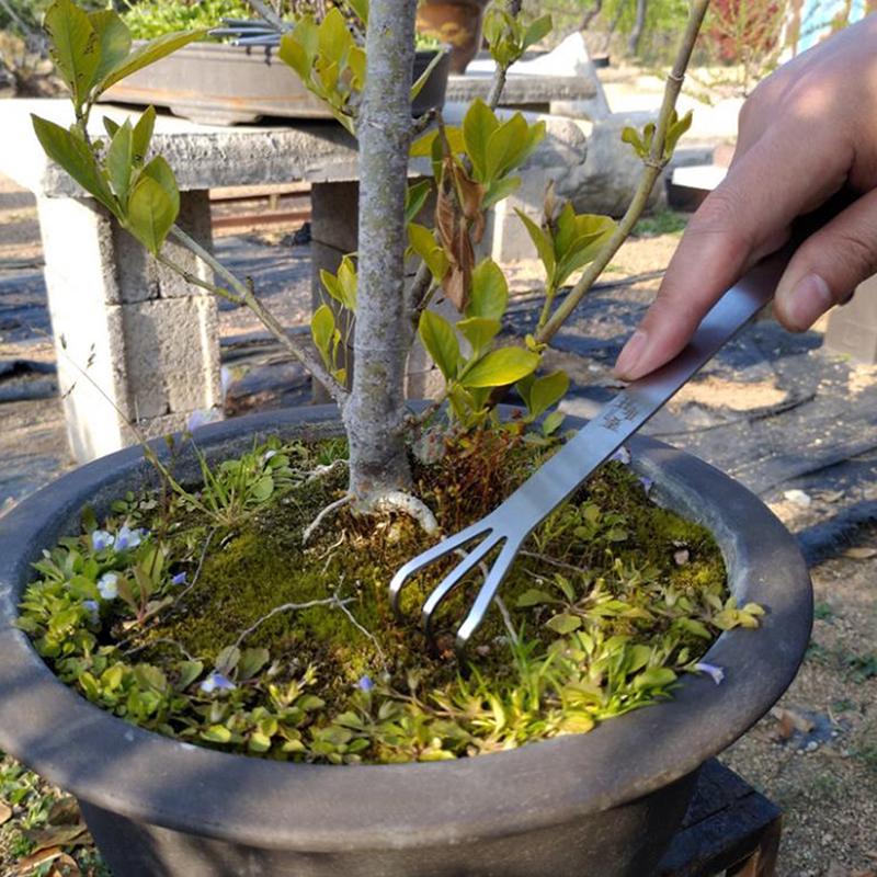 Unelte de grădinărit bonsai 2 în 1 din oțel inoxidabil Greblă de rădăcini Spatulă Pensete Grădină