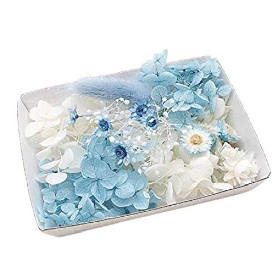 

Набор цветочного материала Something Blue Рукоделие Крафт Гербарий Цветочный материал Ароматическое восковое саше Пресервированные цветы Гортензия Дыхание Иммортель Дыхание младенца