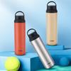 Tiger Portable Stainless Steel Insulated Sports Bottle