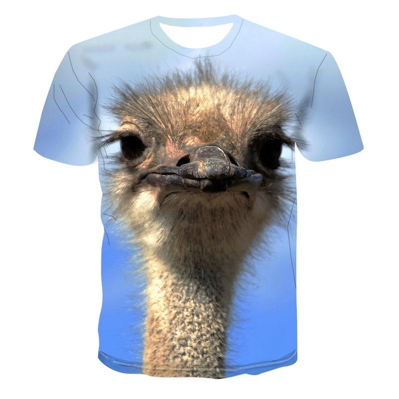 Beautiful Parrot Print Summer Short Sleeve Shirt Men's Children's T-shirt Fashion 3d Bird Pattern Round Neck Top Street Clothing