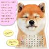 Active Corporation 2026 Shiba Inu Wandkalender beginnt Januar 2026 (26ACL-65)