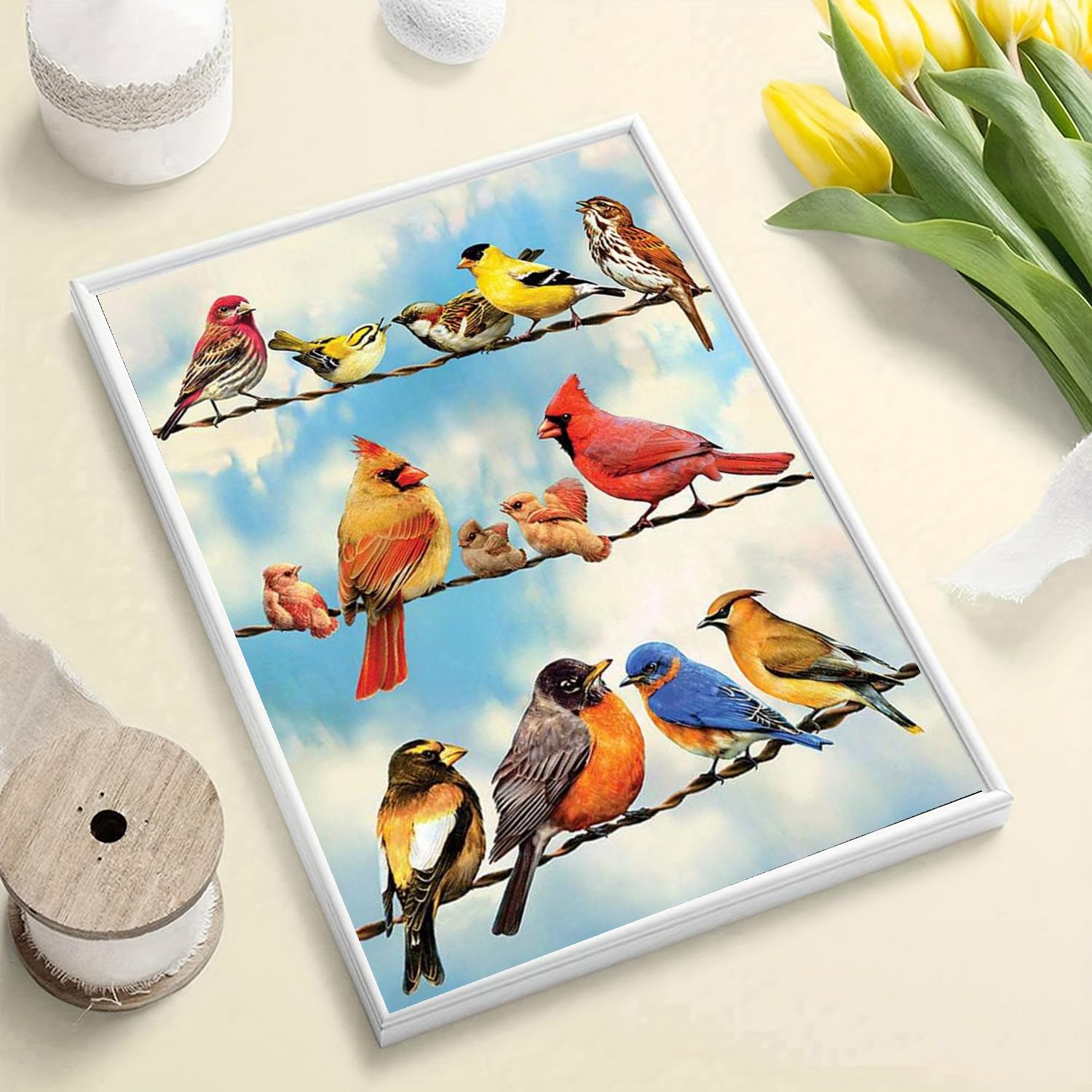 

DIY алмазная живопись птицы всех цветов набор для вышивки крестом мозаика искусство алмазная живопись полный круг/квадратный алмаз украшение дома Square 20x30cm