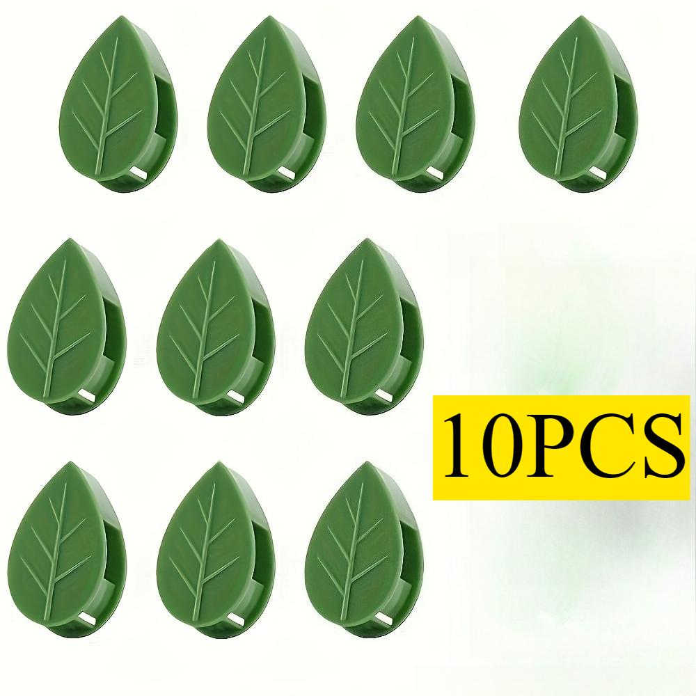 

10Pcs Vine Wall Clips, Self-Adhesive Plant Holder, Practical Garden Plant Fixing Tool for Home Decoration