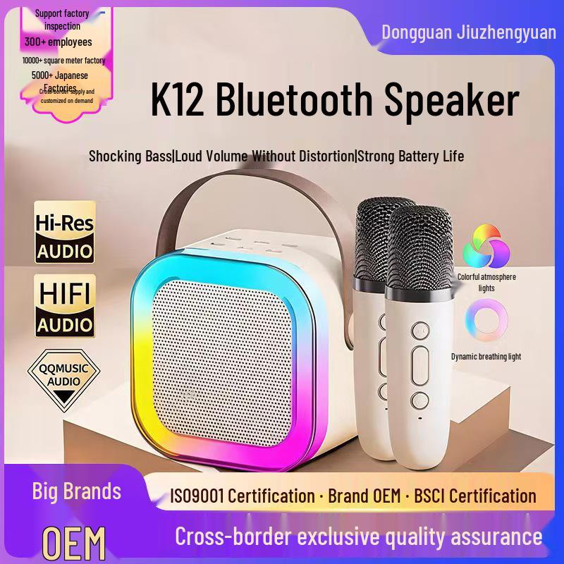 All-in-One KTV Bluetooth Karaoke Speaker with Wireless Microphone for Kids