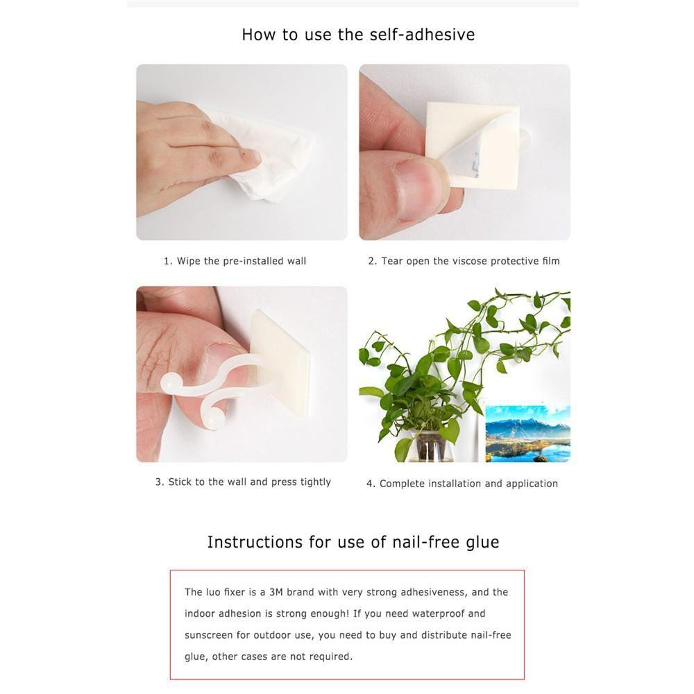 10PCS Invisible Plants Holder Greenhouse Bracket Wall Sticky Hook Plant Clip Rattan Clamp Wall Vines