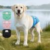 Köpek – Köpek bakım ürünleri