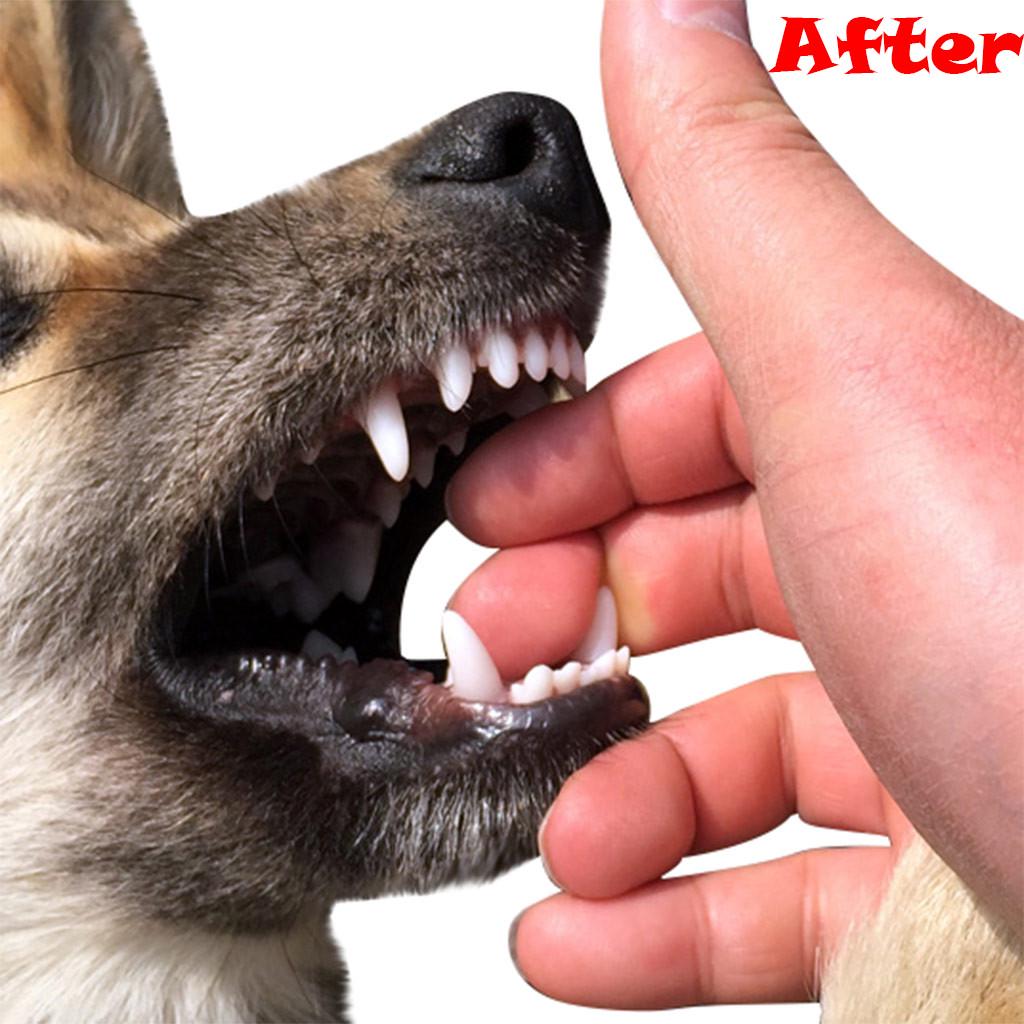 Pet Dog Chew Toys Aggressive Chewer Training Tooth Cleaning Pet Molar Toy