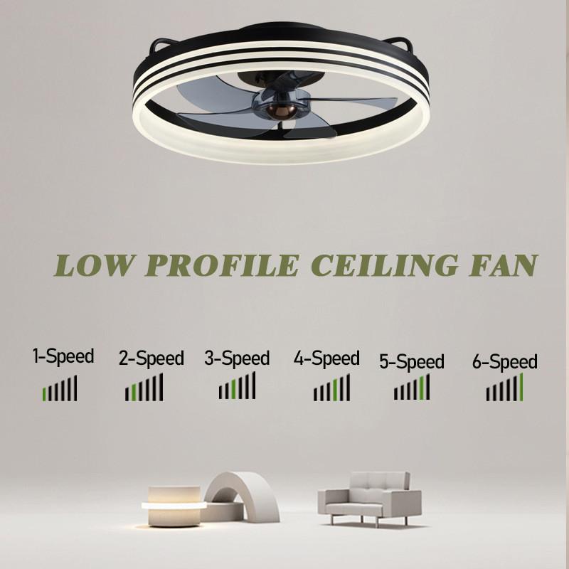 110-220V Modern Household Ceiling Fan Light Variable Frequency Energy-saving Ceiling Fan Lamp Restaurant Silent Electric Fan Light