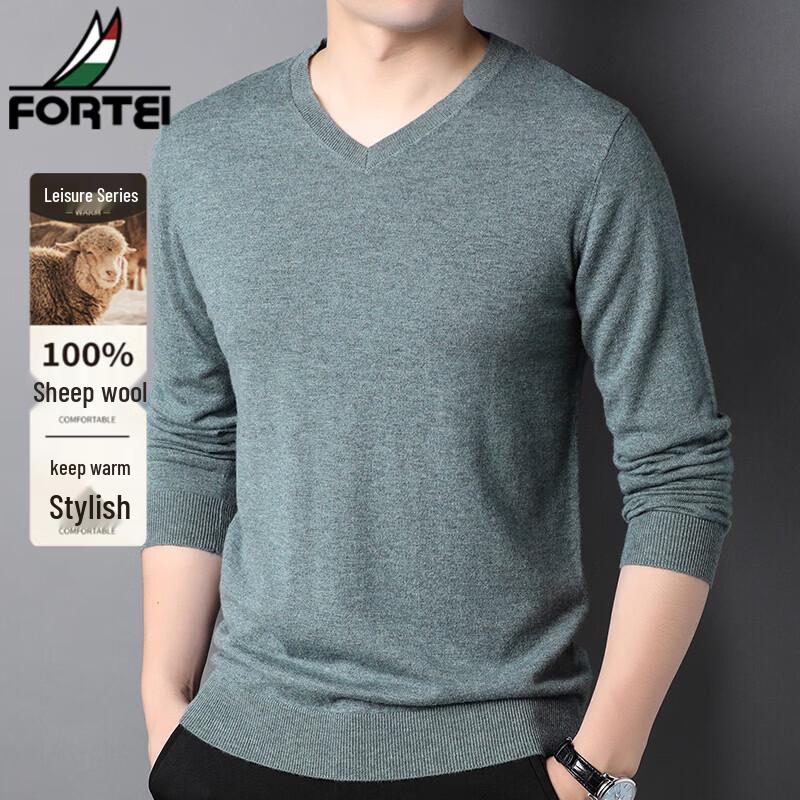 FORTEI Men's 100% Pure Wool V-Neck Pullover Sweater