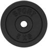 Cast Iron Plate 5Kg Load Disc Cast Iron 31Mm