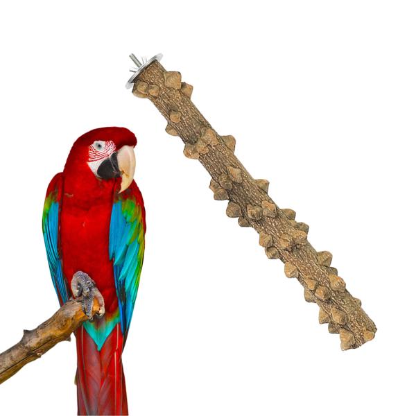 natural parrot stand