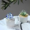Glazed Succulents Potted Plants Artificial Succulents Mini Maintenance-Free