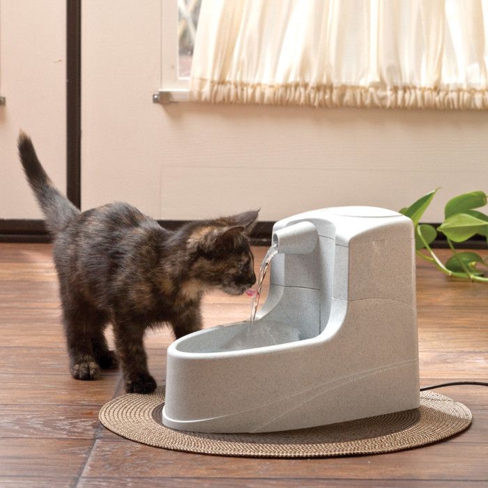 Fontaine à eau pour chiens et chats drinkwell mini 1,2l - petsafe - gris - plastique - extérieur
