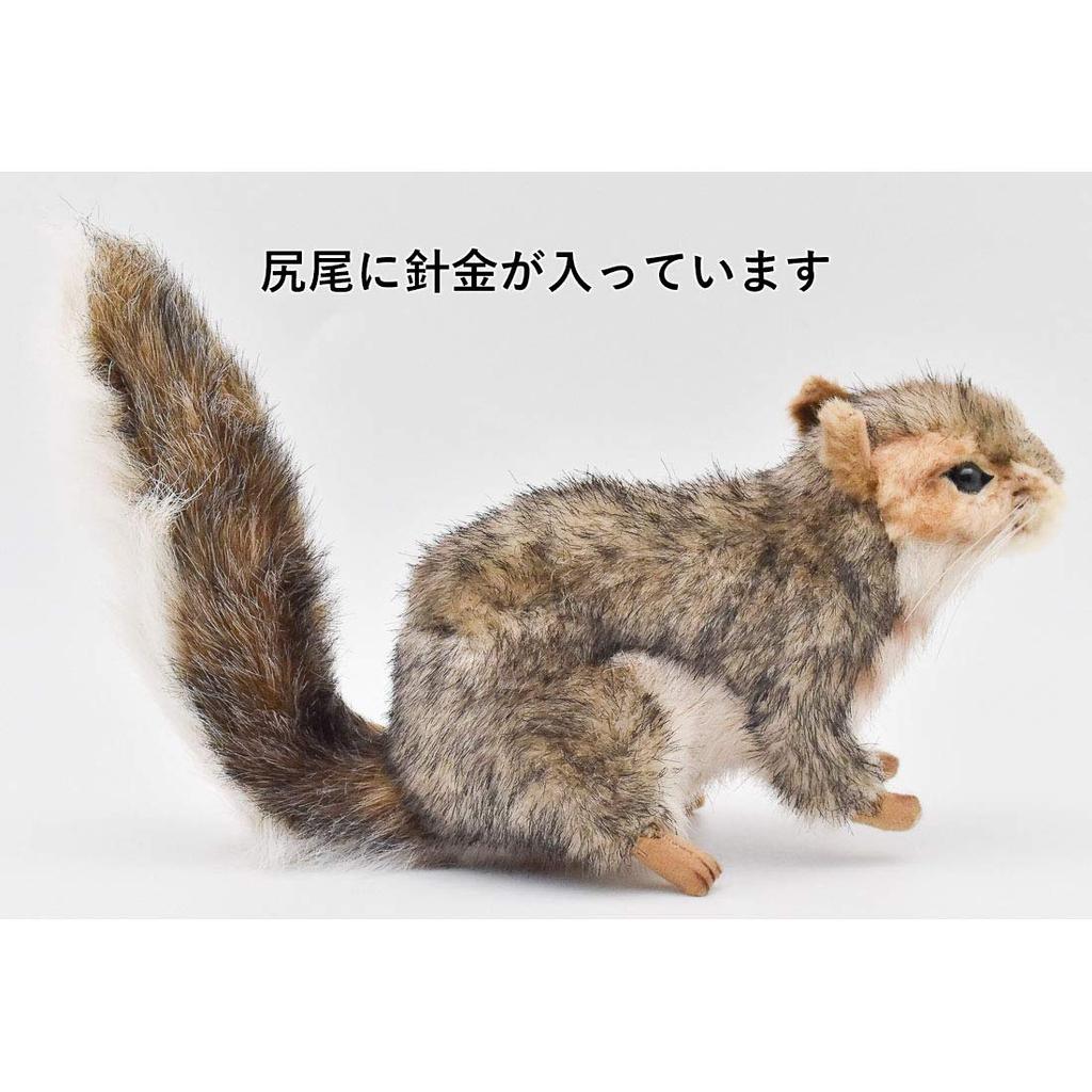 BH4840 HANSA Grey Squirrel 22