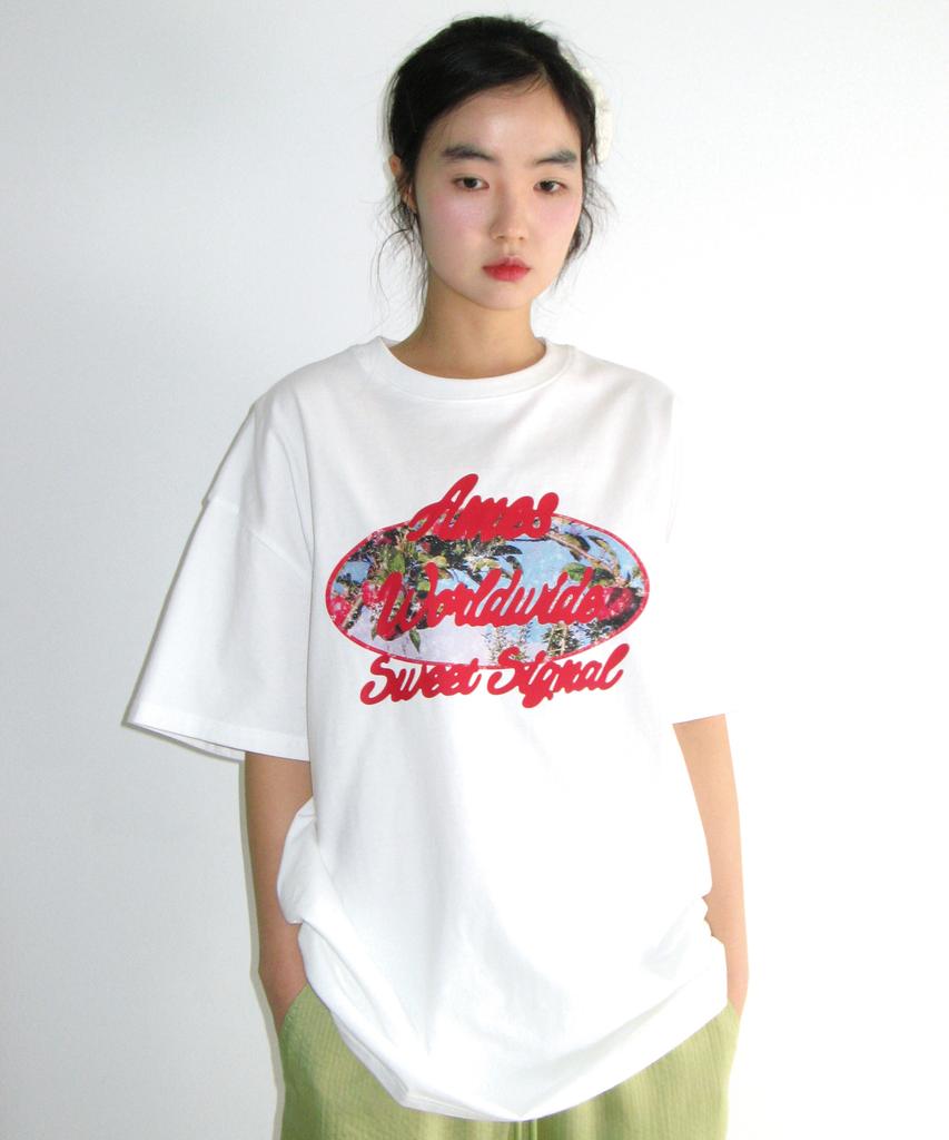 AMES-WORLDWIDE Palm Tree Oval Tee White