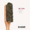 GB KENT Kent Brush All Care Clothes Royal Cashmere and CC6 Brush, Warrant, Wool,